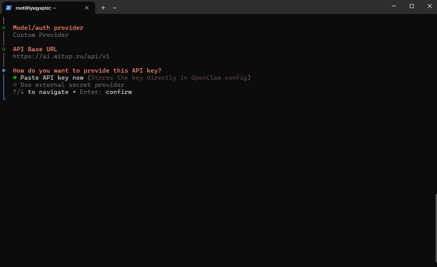 Paste API key now